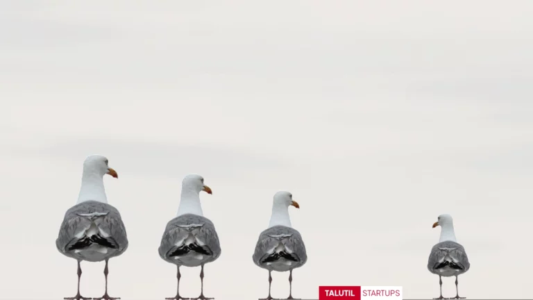 Las Relaciones Públicas en Startups para el Crecimiento y la Credibilidad