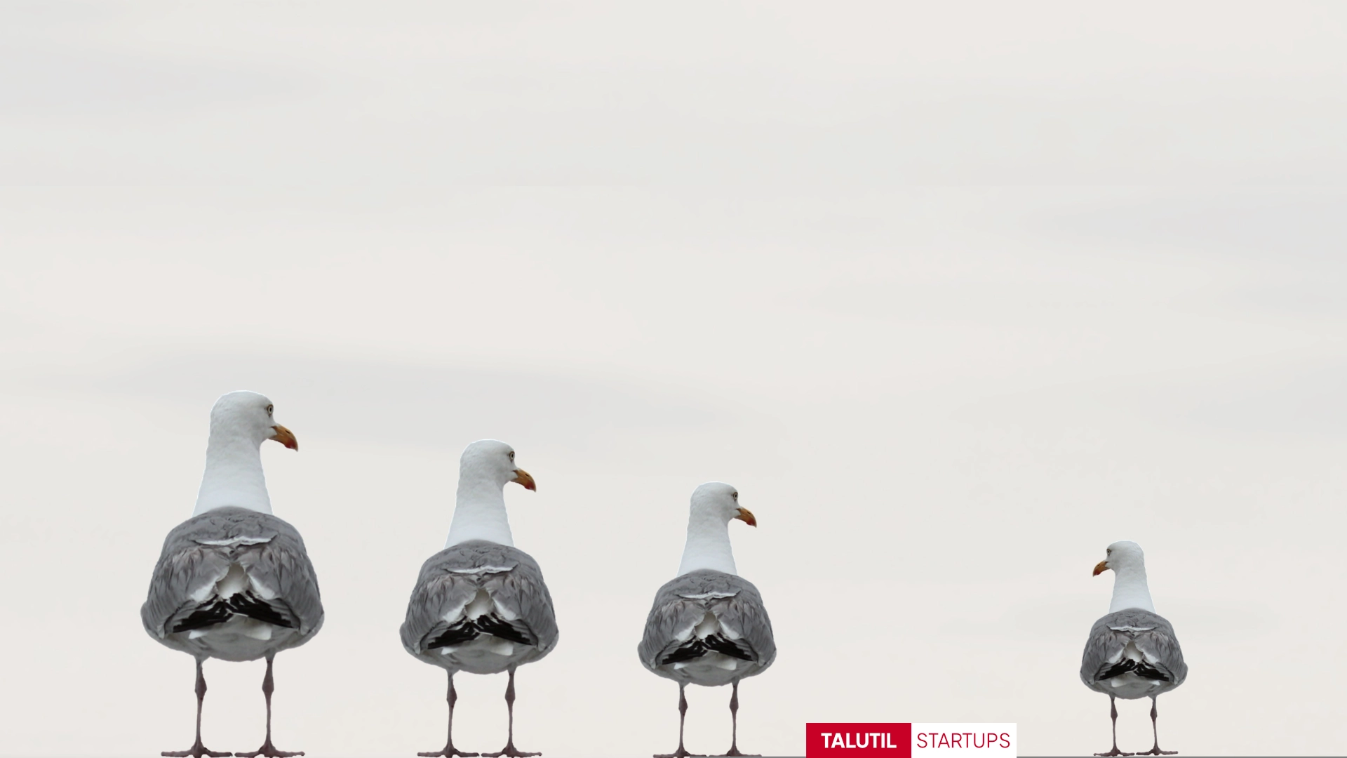 Las Relaciones Públicas en Startups para el Crecimiento y la Credibilidad